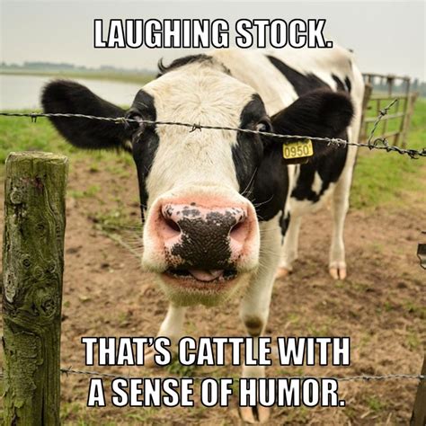 farm joke meme.